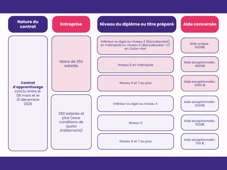 Fiche illustrative article aides apprentissage décret 6 mars